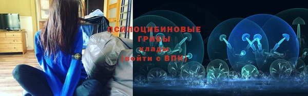 стаф Баксан