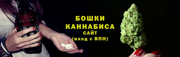 соль ск Пестово