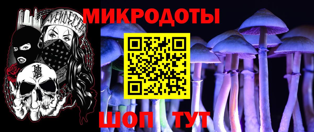 Белово  где можно купить наркотик  Вход с VPN  Галлюциногенные грибы Psilocybine cubensis 