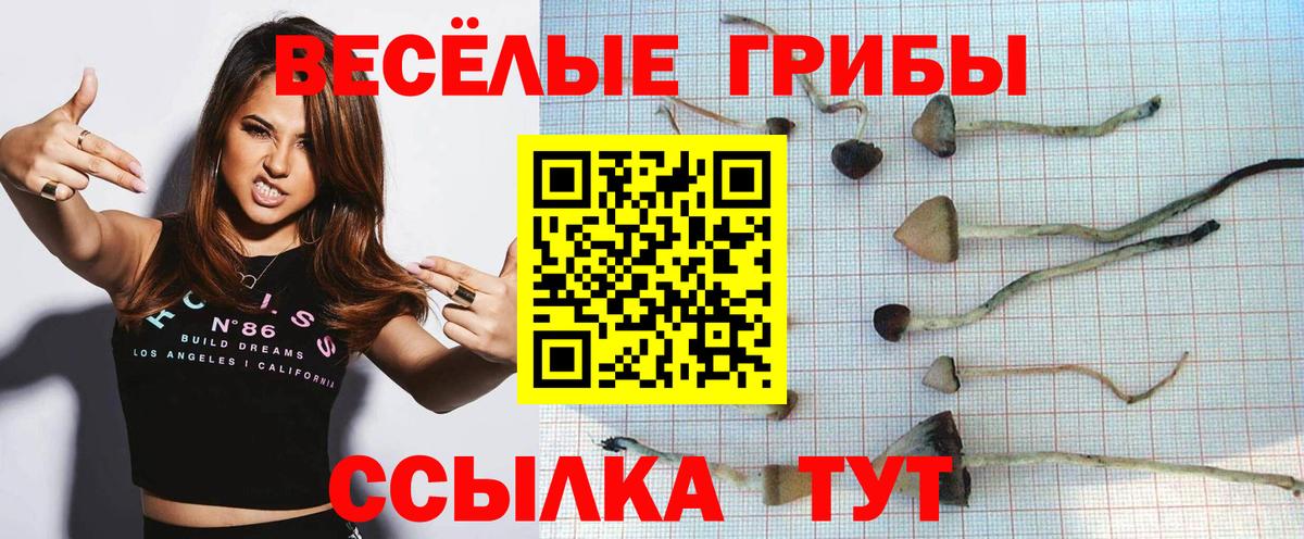 Псилоцибиновые грибы MAGIC MUSHROOMS Белово