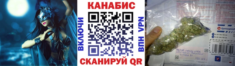 где купить наркоту  Белово  Конопля гибрид 